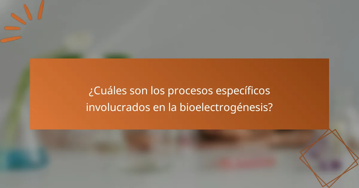¿Cuáles son los procesos específicos involucrados en la bioelectrogénesis?