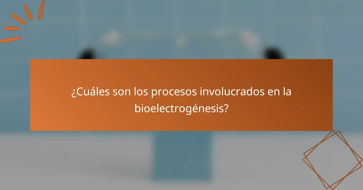 ¿Cuáles son los procesos involucrados en la bioelectrogénesis?