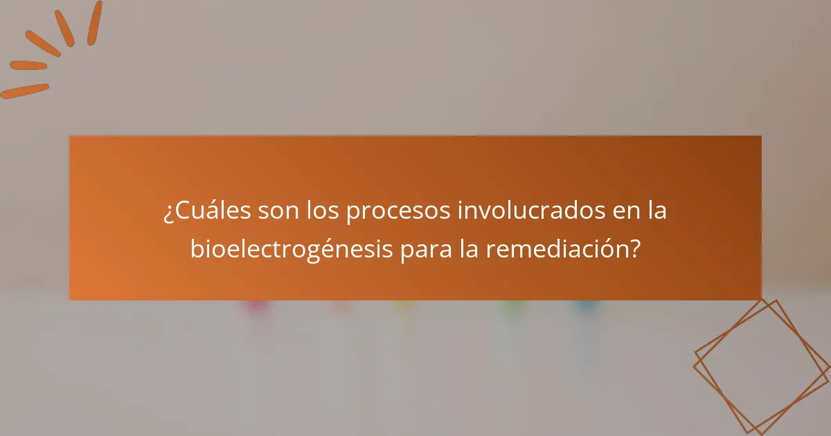 ¿Cuáles son los procesos involucrados en la bioelectrogénesis para la remediación?
